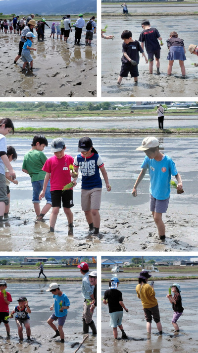 20260427_115004-COLLAGE