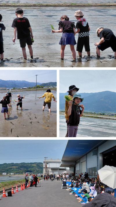20260427_115041-COLLAGE