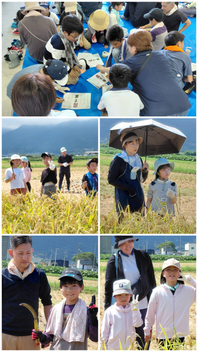 20260822_120113-COLLAGE
