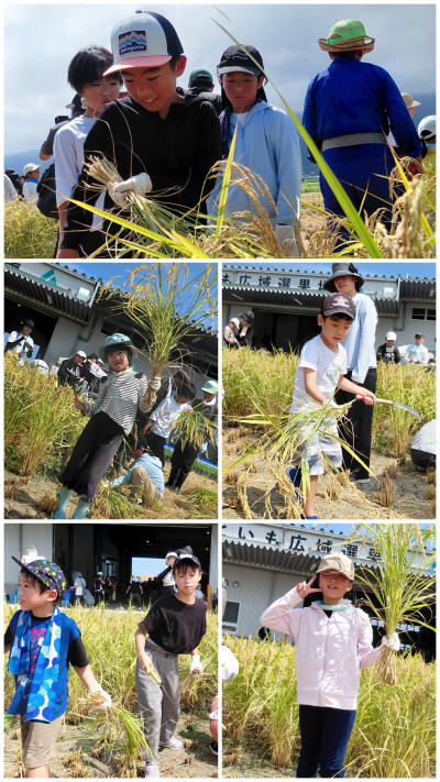 20260822_115827-COLLAGE